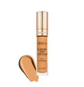 FLAWLESS STAY CONCEALER