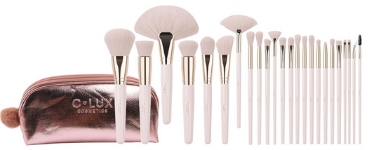 24 PIECES BRUSH SET ROSE CHAMPAGNE