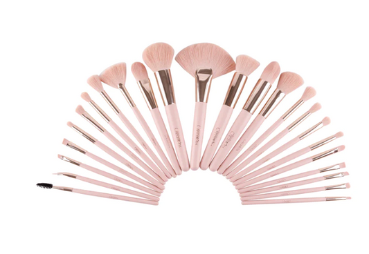 PRETTY IN PINK 24 PC BRUSH SET